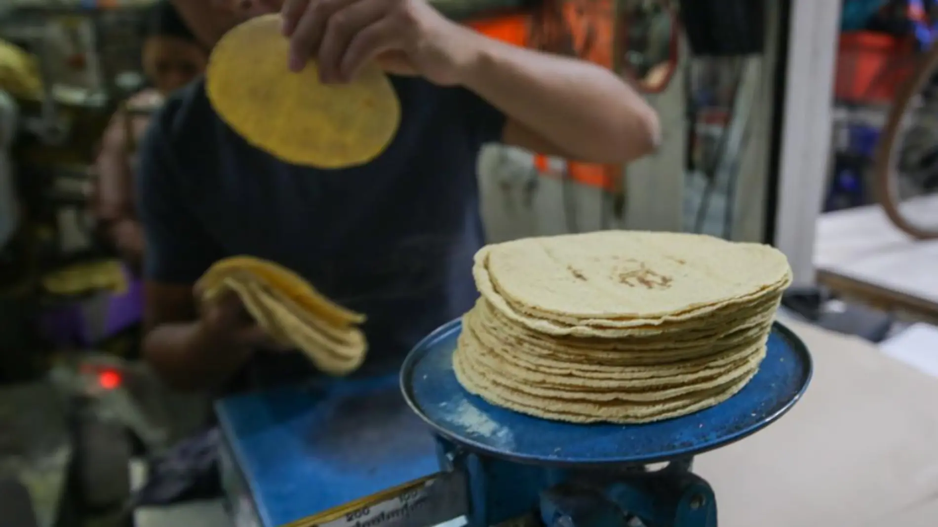 Precio de las tortillas 